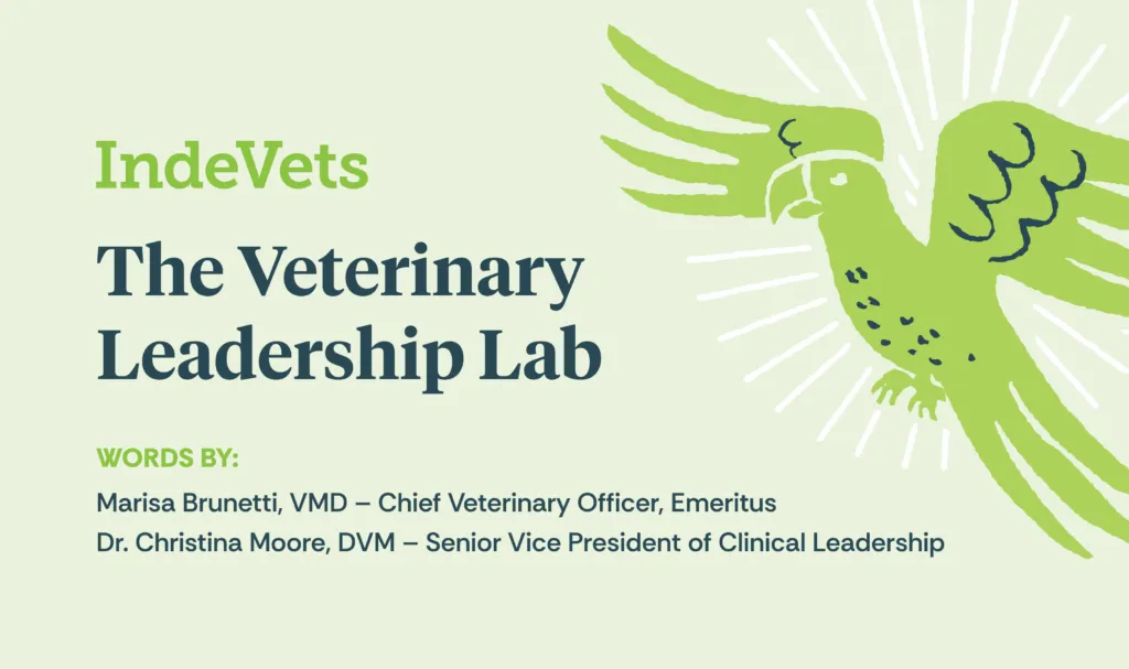 Veterinary Leadership Lab