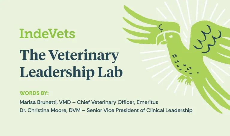 Veterinary Leadership Lab