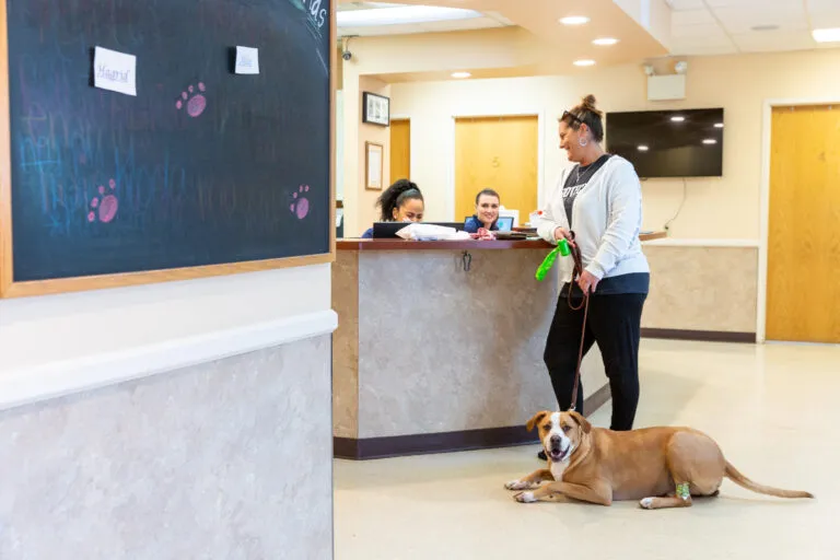 Low Stress Solutions