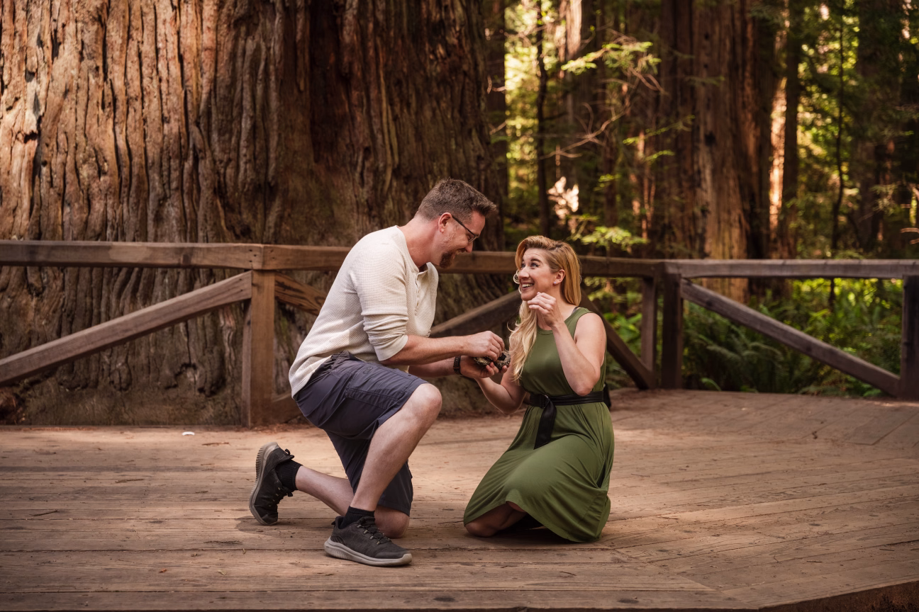 Joe Richichi Proposal