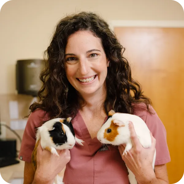 A veterinarian with shoulder-length curly hair smiling and holding two guinea pigs