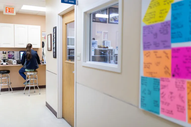 Thriving Veterinary Hospitals