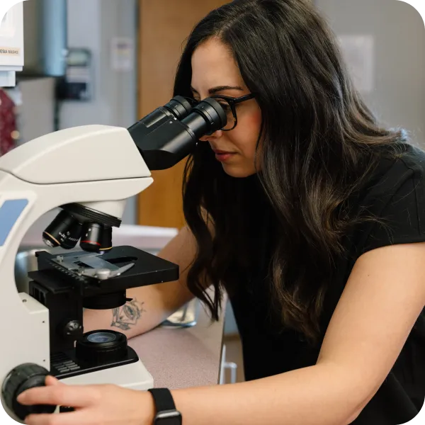 A veterinarian looking into a microscope