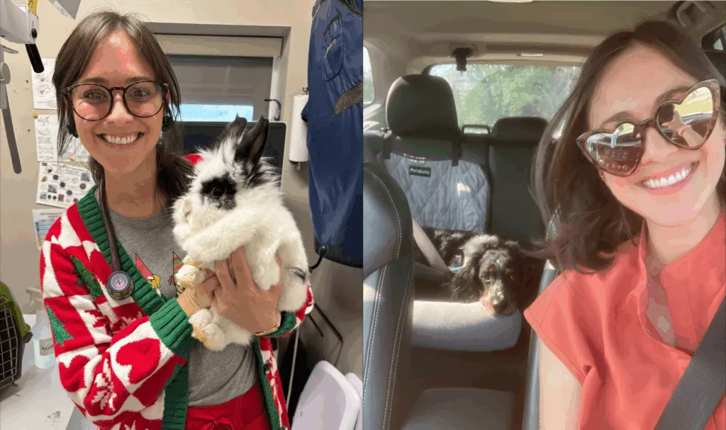 Two photos of veterinarian Dr. Katherine Bonvillain: one shows her holding a fluffy black-and-white rabbit in a veterinary clinic and the other shows her driving a car with a dog in the back seat.