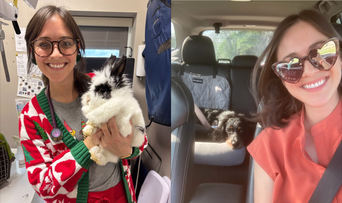 Two photos of veterinarian Dr. Katherine Bonvillain: one shows her holding a fluffy black-and-white rabbit in a veterinary clinic and the other shows her driving a car with a dog in the back seat.