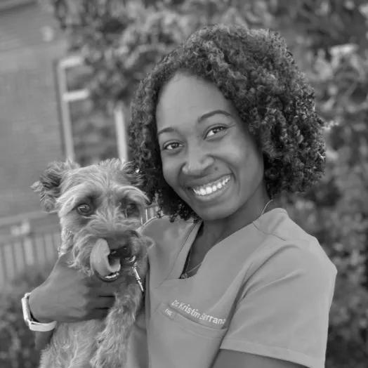 Headshot of Dr. Kristen Serrano