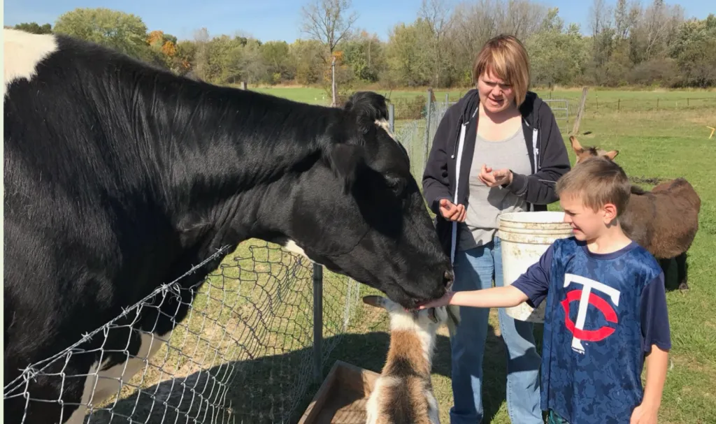 Dr. Kantola and a child feeding a cow