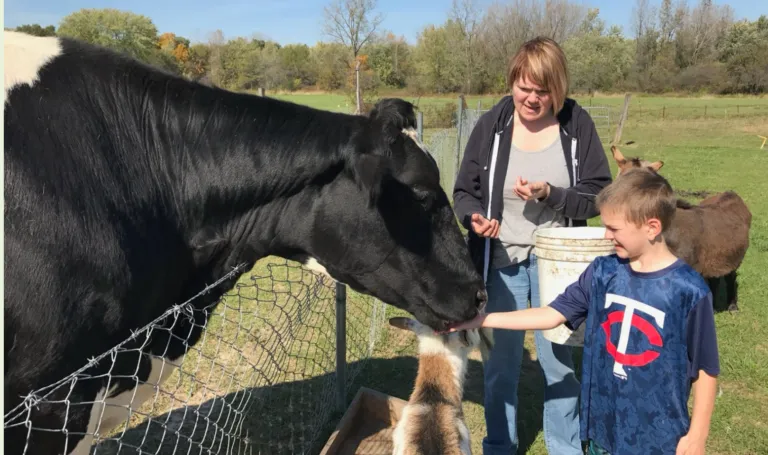 Dr. Kantola and a child feeding a cow